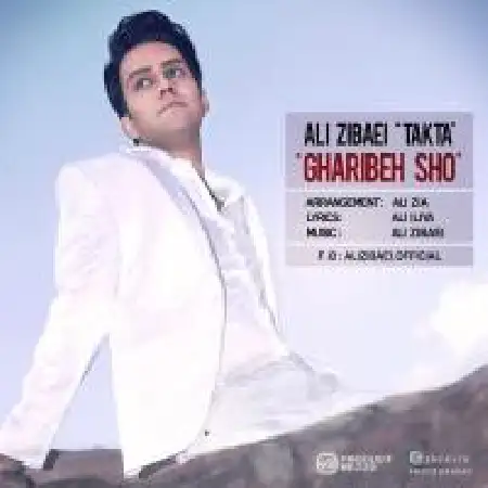 دانلود اهنگ علی زیبایی (تکتا) غریبه شو