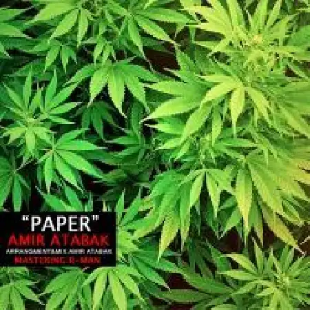 دانلود اهنگ دی جی امیر اتابک کاغذ