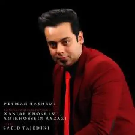 دانلود اهنگ پیمان هاشمی ممنونم