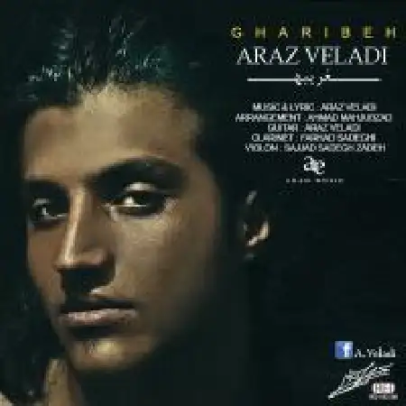 دانلود اهنگ آراز ولادی غریبه
