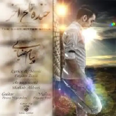 دانلود آلبوم تک اهنگ ها از پیام ضیایی