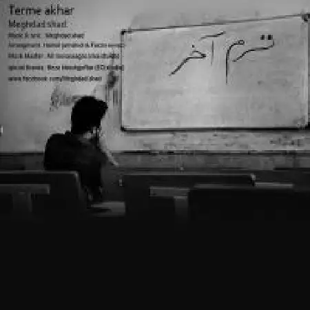 دانلود آلبوم تک اهنگ ها از مقداد شاد