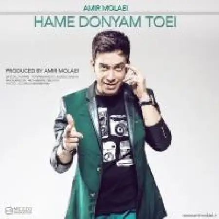 دانلود اهنگ امیر مولایی همه دنیام تویی