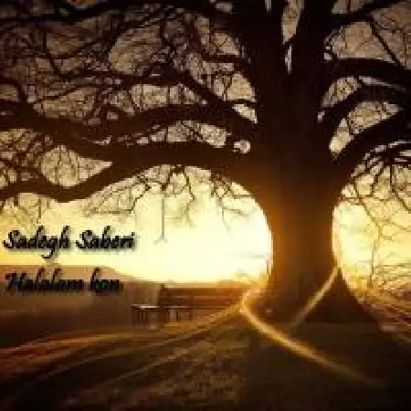 دانلود آلبوم تک اهنگ ها از صادق صابری