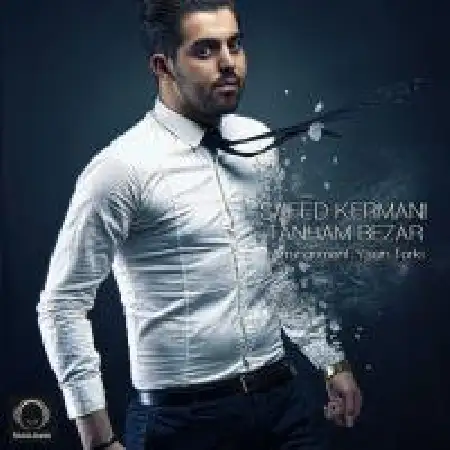 دانلود اهنگ سعید کرمانی تنهام بزار