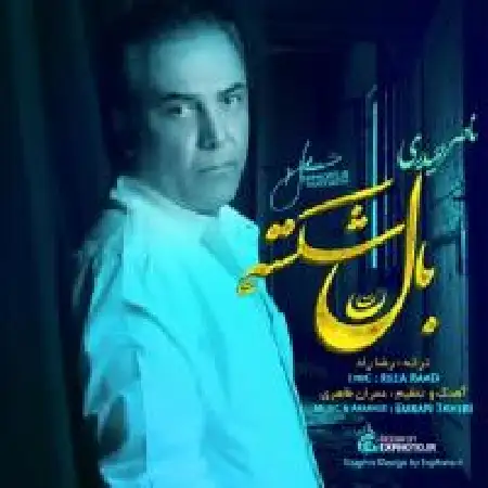 دانلود اهنگ ناصر حیدری بال شکسته