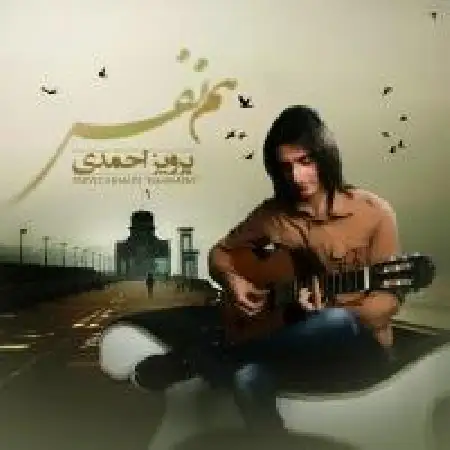 دانلود اهنگ پرویز احمدی هم نفس