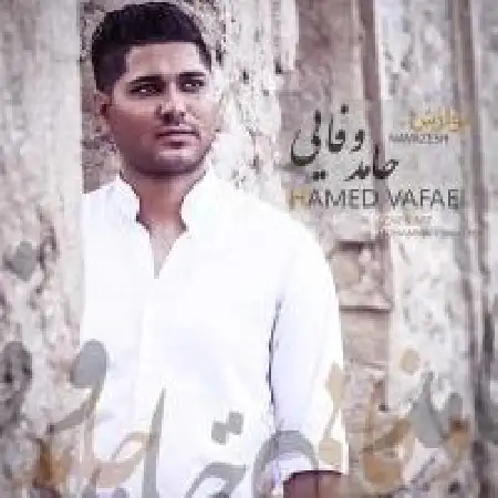 دانلود اهنگ حامد وفایی نوازش