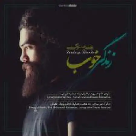 دانلود اهنگ علی زند وکیلی زندگی خوب