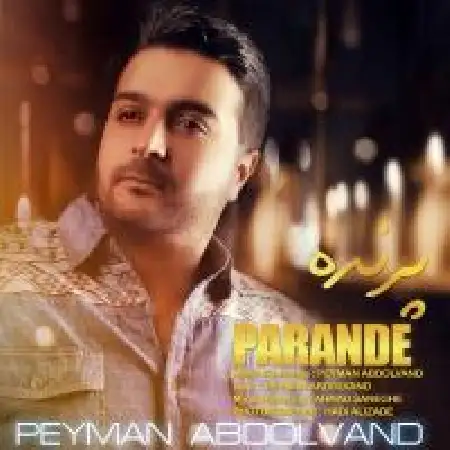 دانلود اهنگ پیمان عبدالوند پرنده