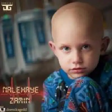 دانلود اهنگ امیر کنعانی ناله های زمین