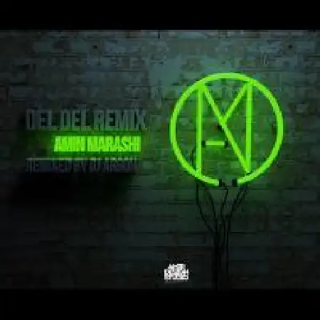 دانلود اهنگ امین مرعشی دل دل (ریمیکس)