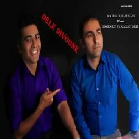 دانلود اهنگ مهدی شهنازی دل دیوونه با حضور محسن فرازنده