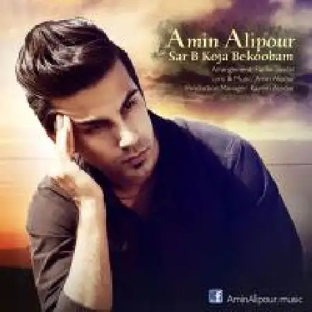 دانلود اهنگ امین علیپور سر به کجا بکوبم