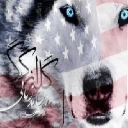 دانلود اهنگ حامد زمانی گله از گرگ