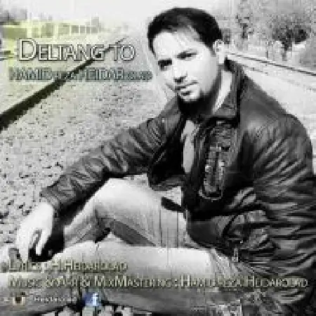 دانلود اهنگ حمید رضا حیدراولاد دلتنگ تو