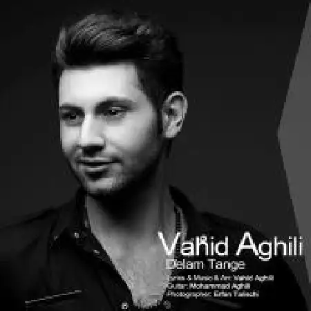 دانلود اهنگ وحید عقیلی دلم تنگه