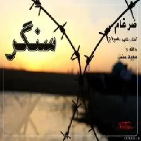 دانلود آلبوم تک اهنگ ها از ضرغام