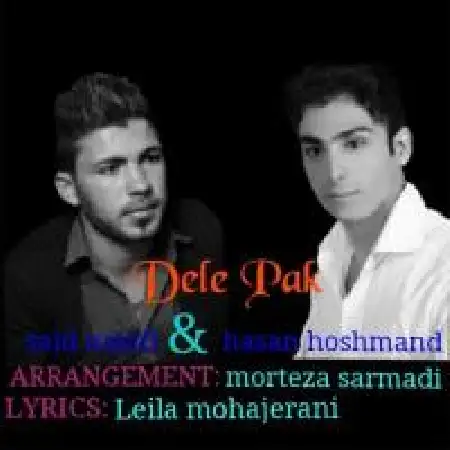 دانلود اهنگ حسن هوشمند دل پاک با حضور سعید نجفی