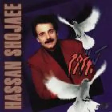 دانلود اهنگ حسن شجاعی مرد تنها