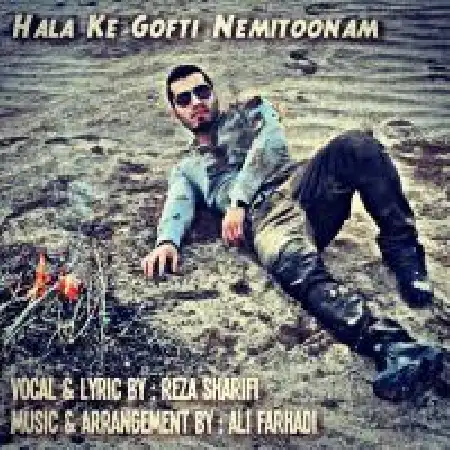 دانلود اهنگ رضا شریفی ۱ حالا که گفتی نمیتونم