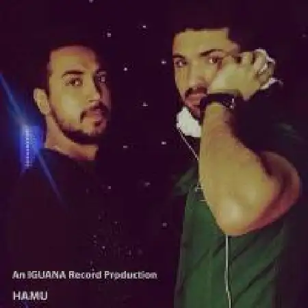 دانلود آلبوم تک اهنگ ها از هامو