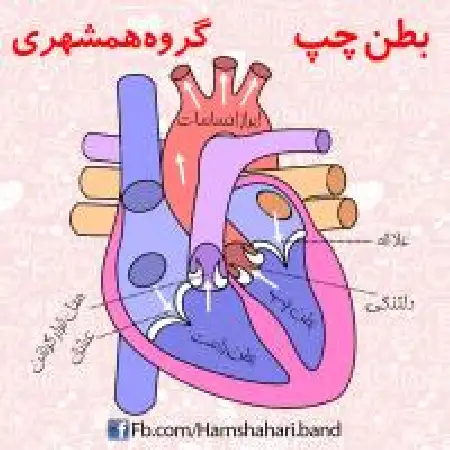 دانلود اهنگ همشهری بطن چپ
