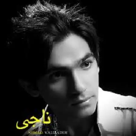 دانلود اهنگ احمد ولی زاده ناجی