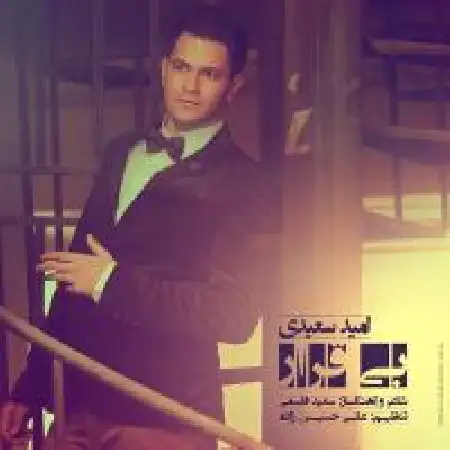 دانلود آلبوم تک اهنگ ها از امید سعیدی