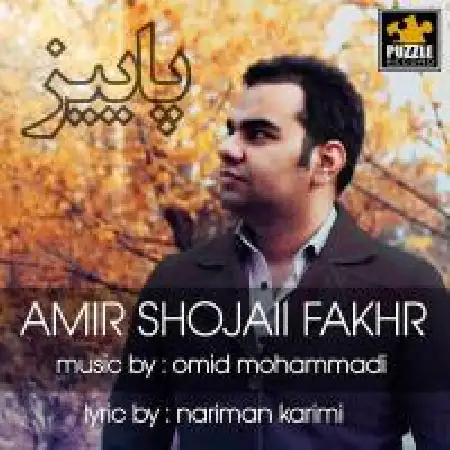 دانلود آلبوم تک اهنگ ها از امیر شجاعی فخر