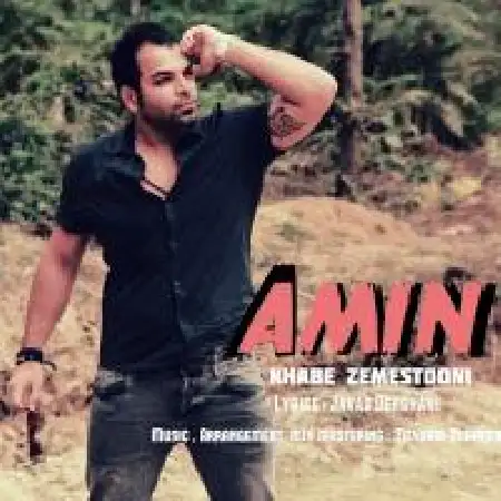 دانلود اهنگ امین خواب زمستونی