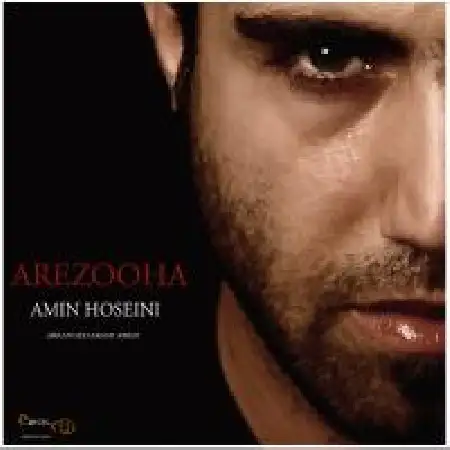 دانلود اهنگ امین حسینی آرزوها