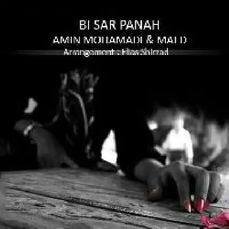 دانلود آلبوم تک اهنگ ها از امین محمدی