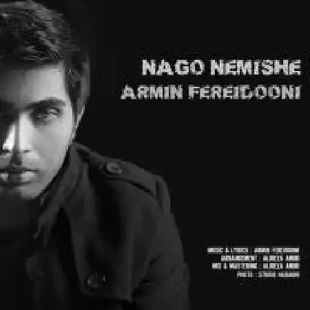 دانلود اهنگ امین فریدونی نگو نمیشه