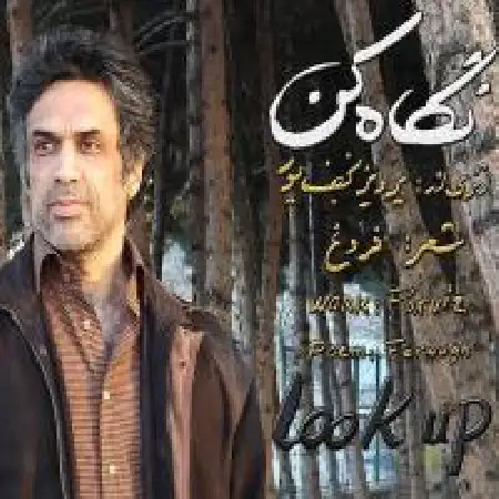 دانلود آلبوم تک اهنگ ها از پرویز نجف پور