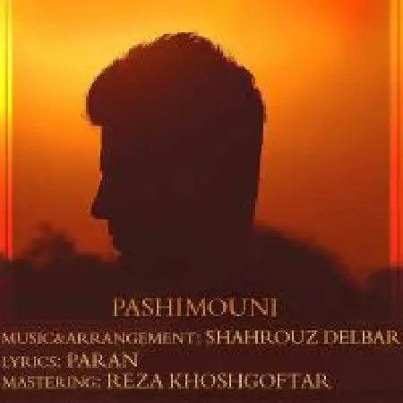 دانلود آلبوم تک اهنگ ها از شهروز دلبر