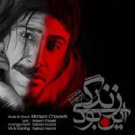 دانلود اهنگ محسن چاوشی این بود زندگی