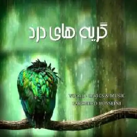 دانلود اهنگ فرشید حسینی گریه ها درد