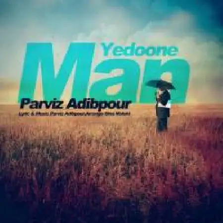 دانلود آلبوم تک اهنگ ها از پرویز ادیب پور