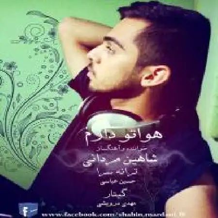 دانلود اهنگ شاهین مردانی هواتو دارم