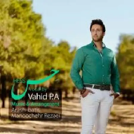 دانلود آلبوم تک اهنگ ها از وحید PA