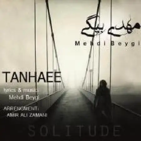 دانلود اهنگ مهدی بیگی تنهایی