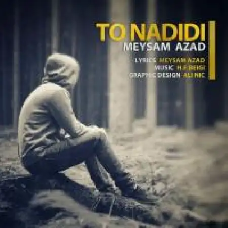 دانلود آلبوم تک اهنگ ها از میثم آزاد