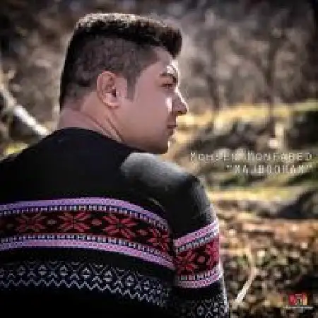 دانلود اهنگ محسن منفرد مجبورم