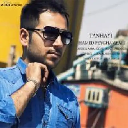 دانلود اهنگ حامد پیغمبری تنهایی
