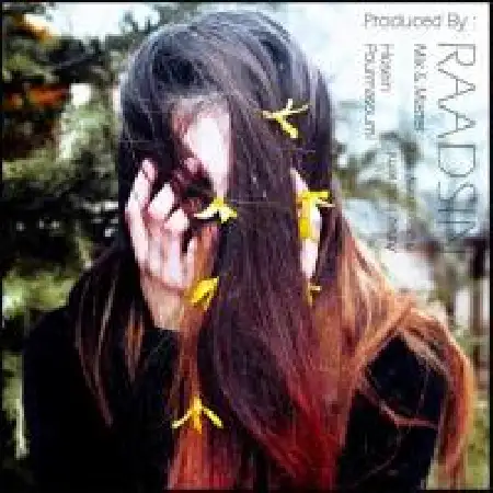 دانلود آلبوم تک اهنگ ها از رادسین