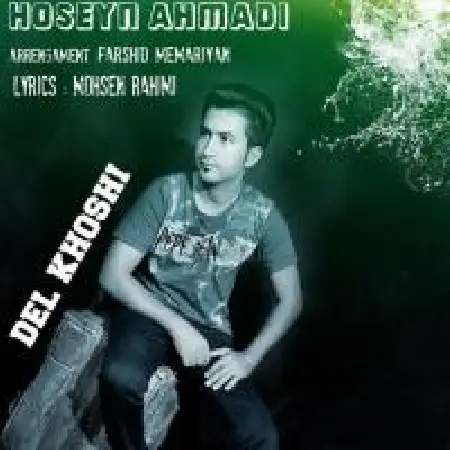 دانلود اهنگ حسین احمدی دل خوشی