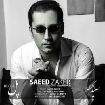 دانلود اهنگ سعید ذاکری پل