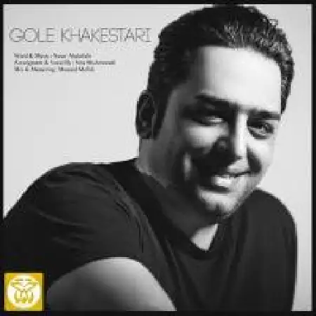 دانلود اهنگ سینا شاهمرادی گل خاکستری