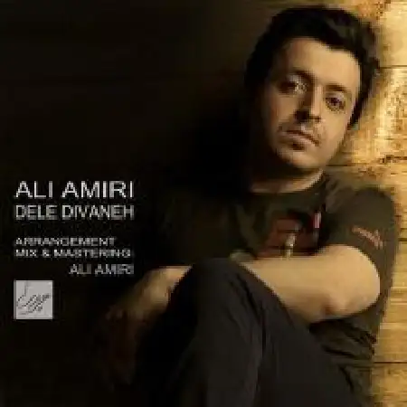 دانلود اهنگ علی امیری دل دیوانه
